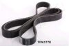 ASHIKA 112-7PK1770 V-Ribbed Belts